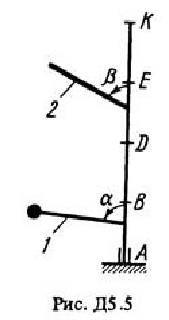 Solution D5 Var. 51, reshebnik termehu Targ SM 1983