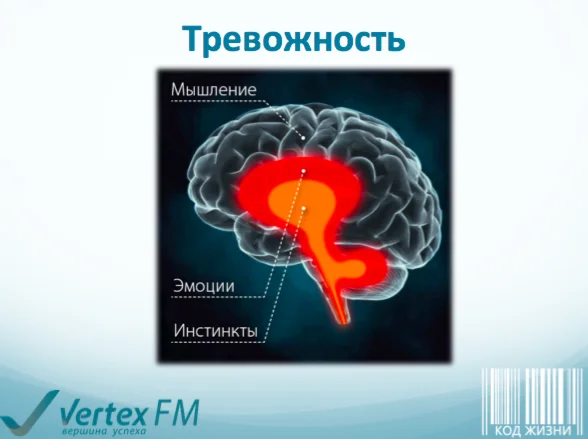 Вебинар 