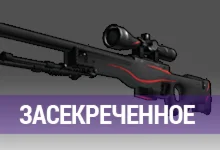 Случайное Засекреченное