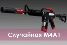 Случайная M4A1
