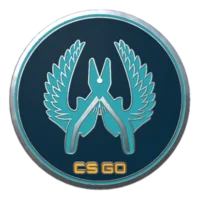 CS Go Значок «Защитник»