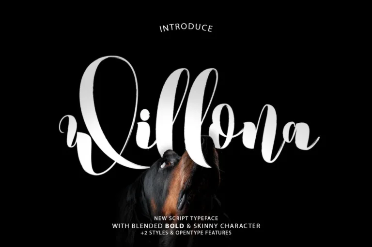 Willona Typeface font
