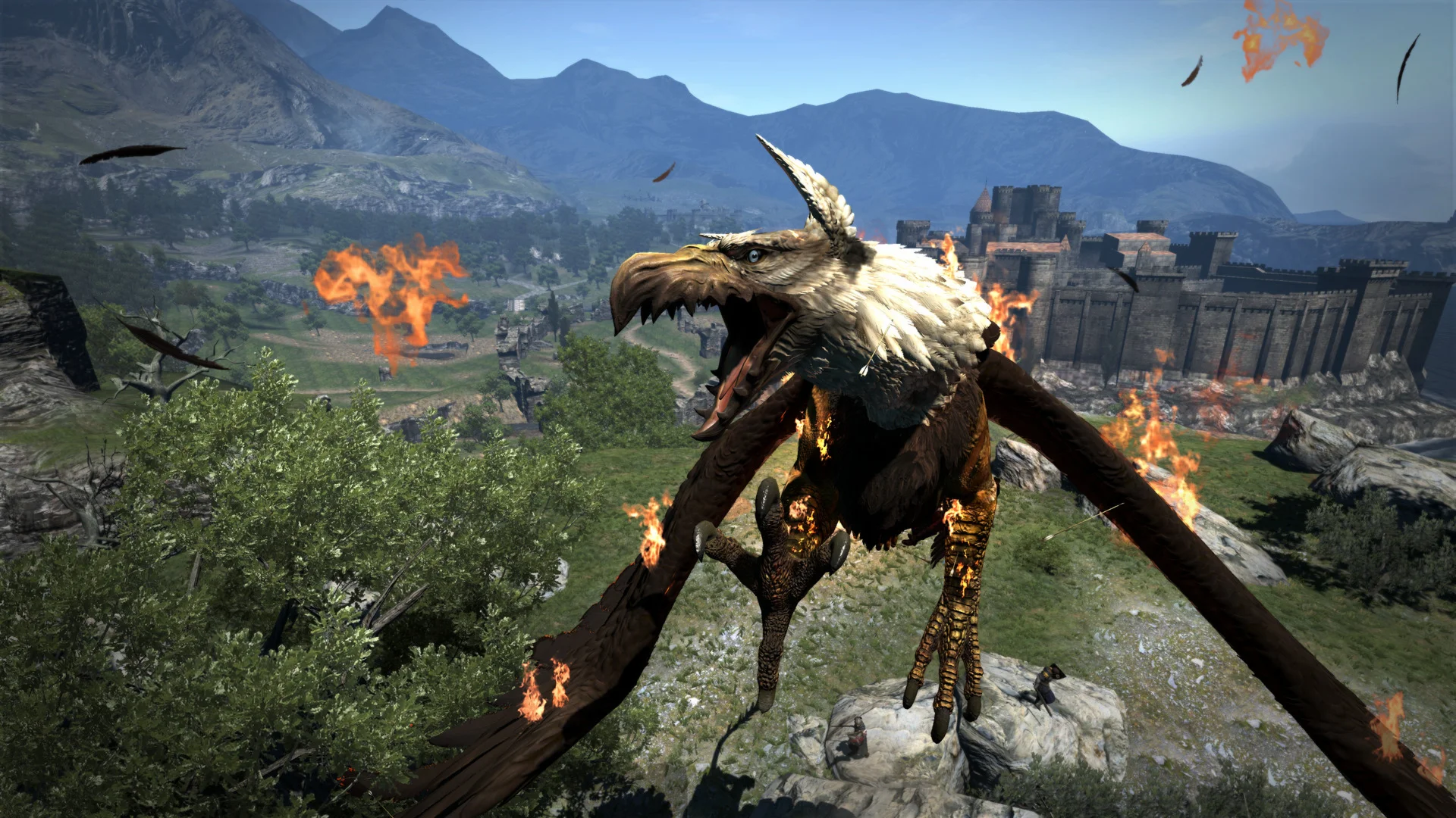 Dragon's Dogma: Dark Arisen Steam Gift RU+CIS Tradable