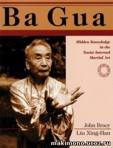 Книга: Багуа - мистическое боевое искусство