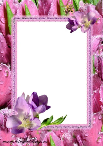 Розовая рамка