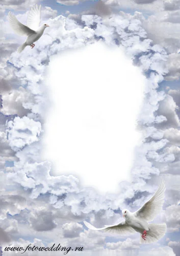 Рамка - Голуби в небе