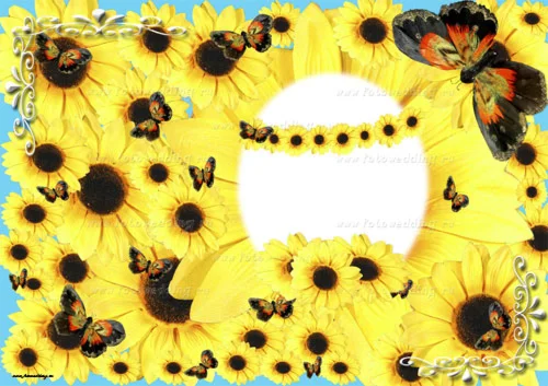 Коллаж Подсолнухи