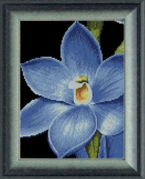 Схема для вышивки 