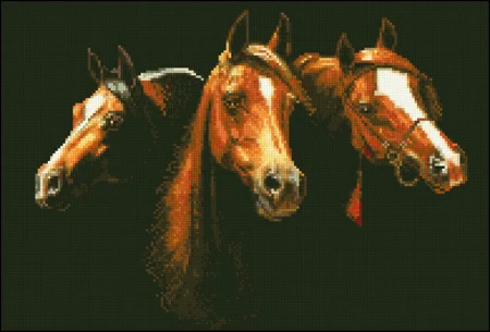 Схема для вышивки 