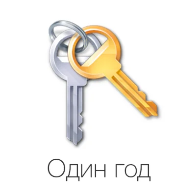 VIP ключ (на один год)