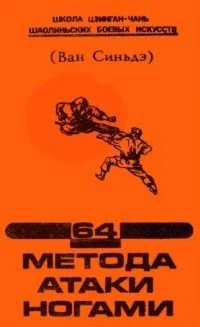 64 метода атаки ногами