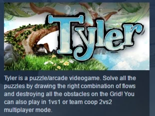 Tyler  STEAM KEY REGION FREE GLOBAL