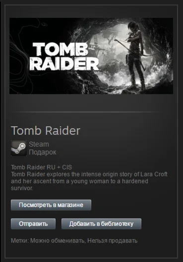 Tomb Raider 2013 (Steam, Tradable Gift, ROW)