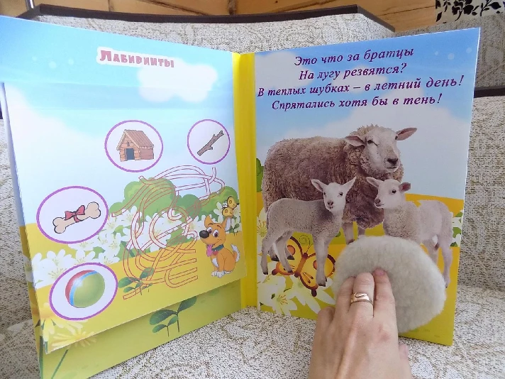 lapbook "Аnimals "