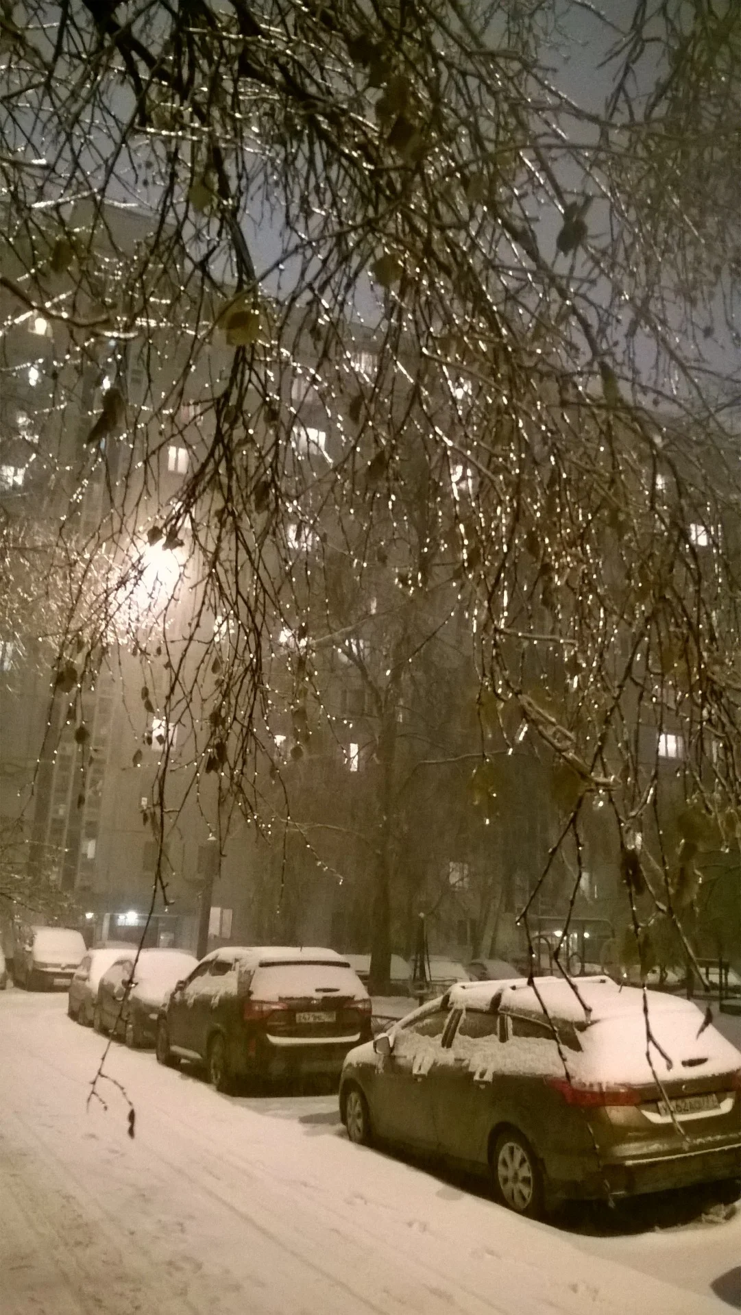 Фоточка Природа