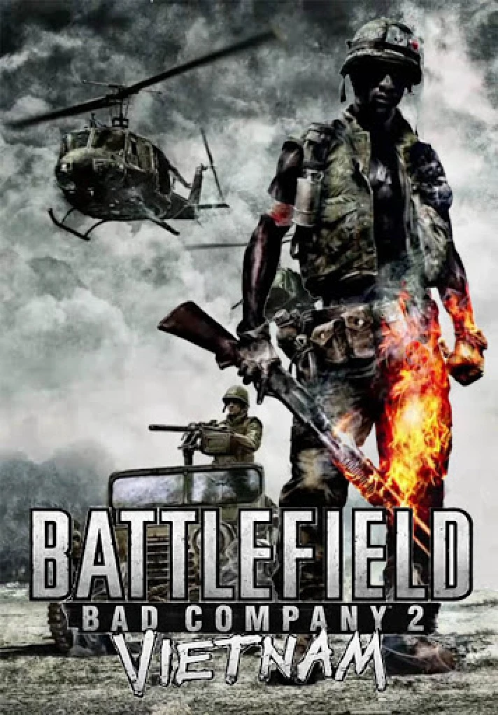 Battlefield: Bad Company 2 (STEAM Gift)