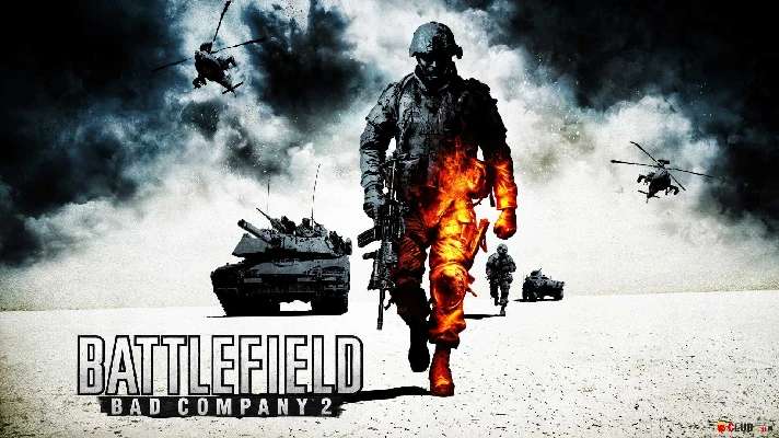 Battlefield: Bad Company 2 (STEAM Gift)