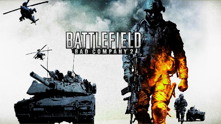 Battlefield: Bad Company 2 (STEAM Gift)