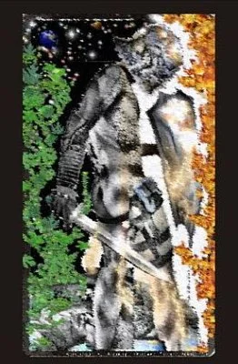 Книга Воина Тьмы - Рождение Воина