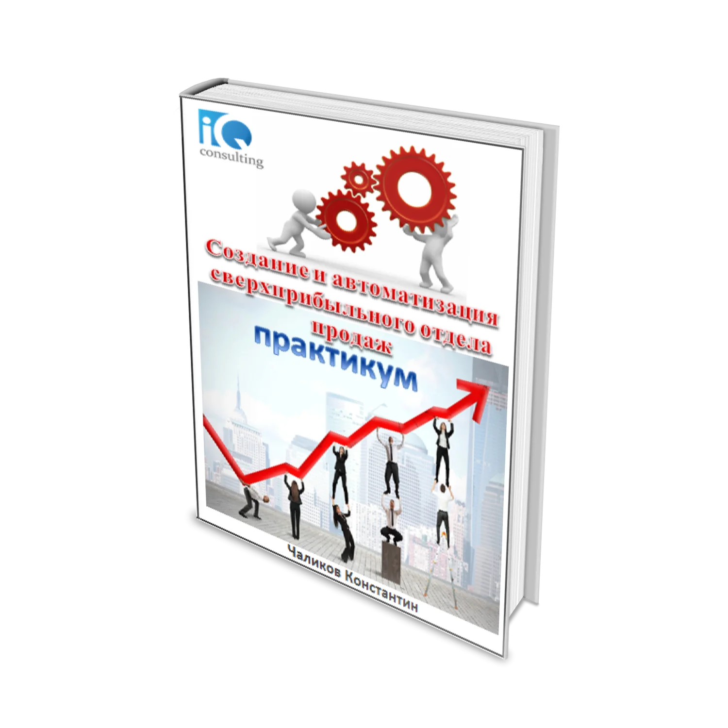 ПОСТРОЕНИЕ СИСТЕМЫ ЭФФЕКТИВНЫХ ПРОДАЖ В БИЗНЕСЕ