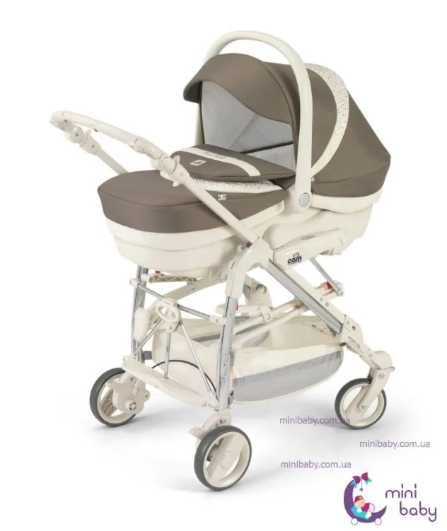 Cam Elegant Family, 20151