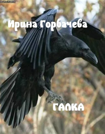 Галка