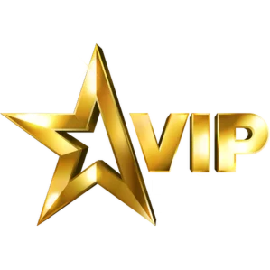 9️⃣VIP (x9) Элит Плюс на 1 год [GunServer.ru]