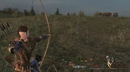 Mount  Blade: Warband Viking Conquest Reforged Edition