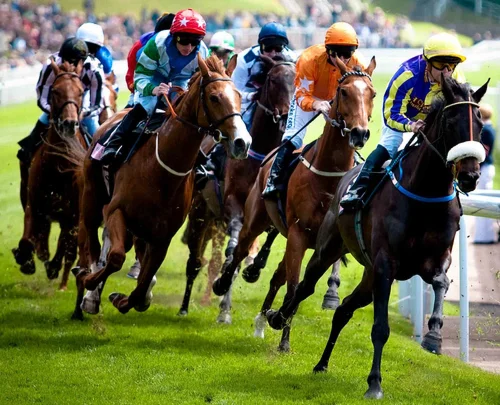 Обучение для чайников, профит от 25% в неделю. Скачки