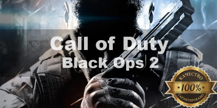 Call of Duty Black Ops II Steam + Почта + Смена данных