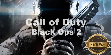 Call of Duty Black Ops II Steam + Почта + Смена данных