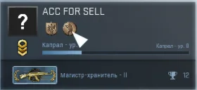 ЛИЧНЫЙ аккаунт CS:GO rank: mg2