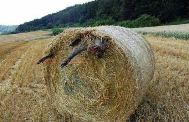 Акуитительно уголовное право для чайников