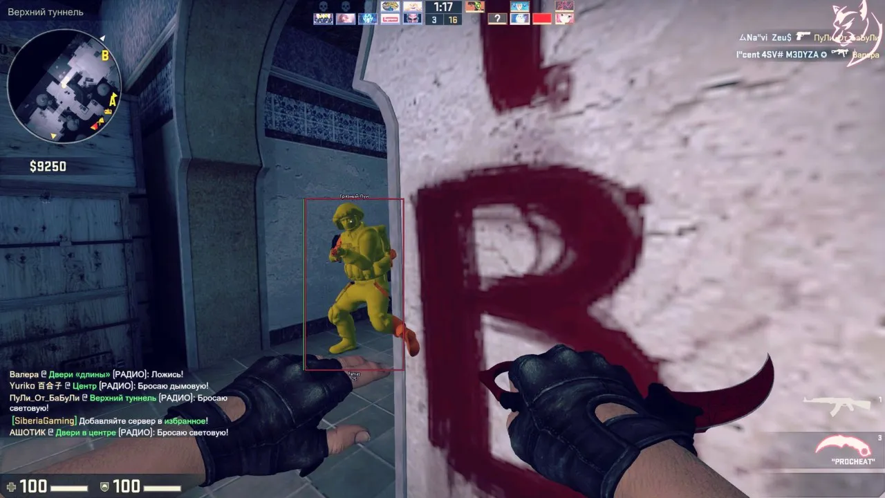 PROCHEAT чит для CS:GO 3 Месяца