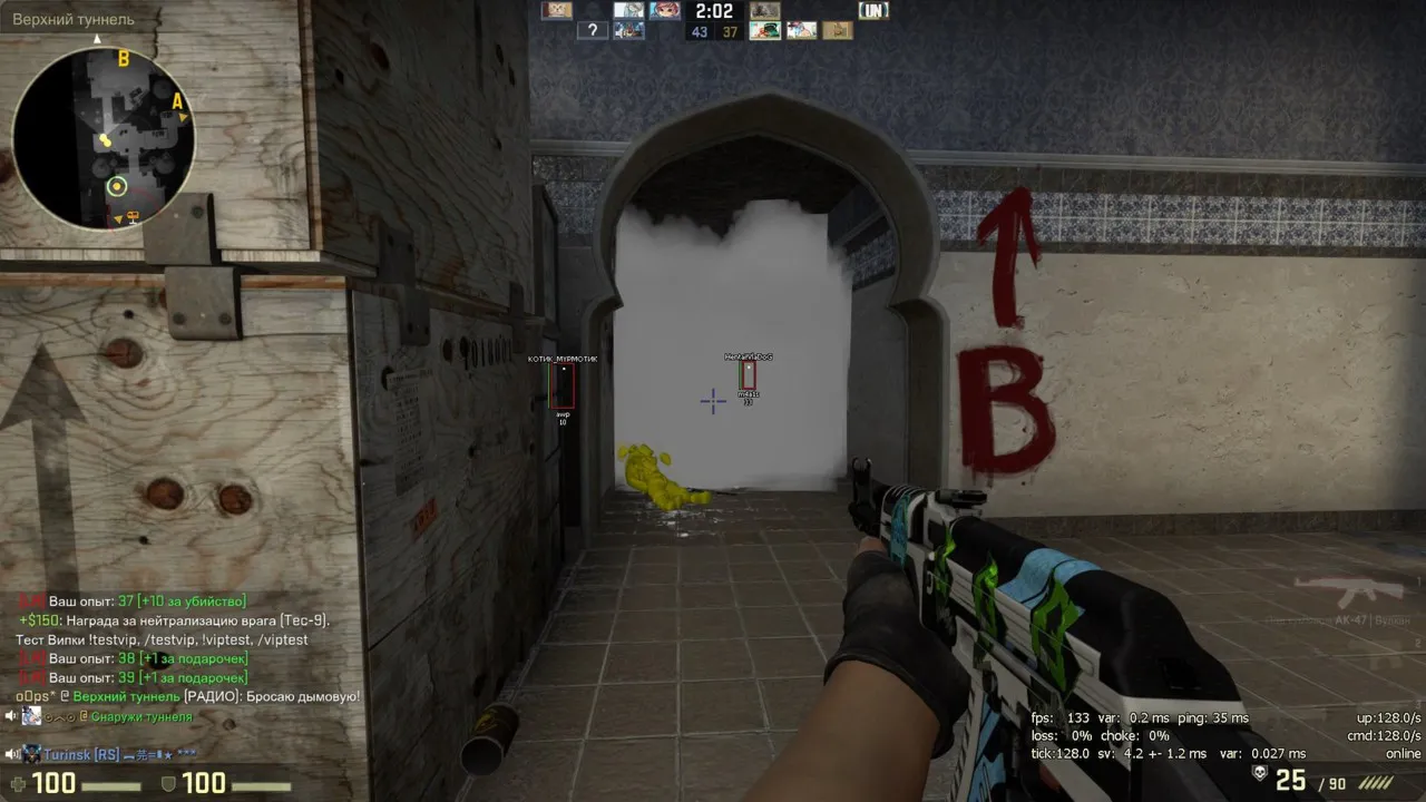 Procheat чит для CS:GO [30 дней]