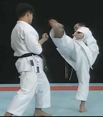 Видеофильм Удары ногами в каратэ - Выбор дистанции