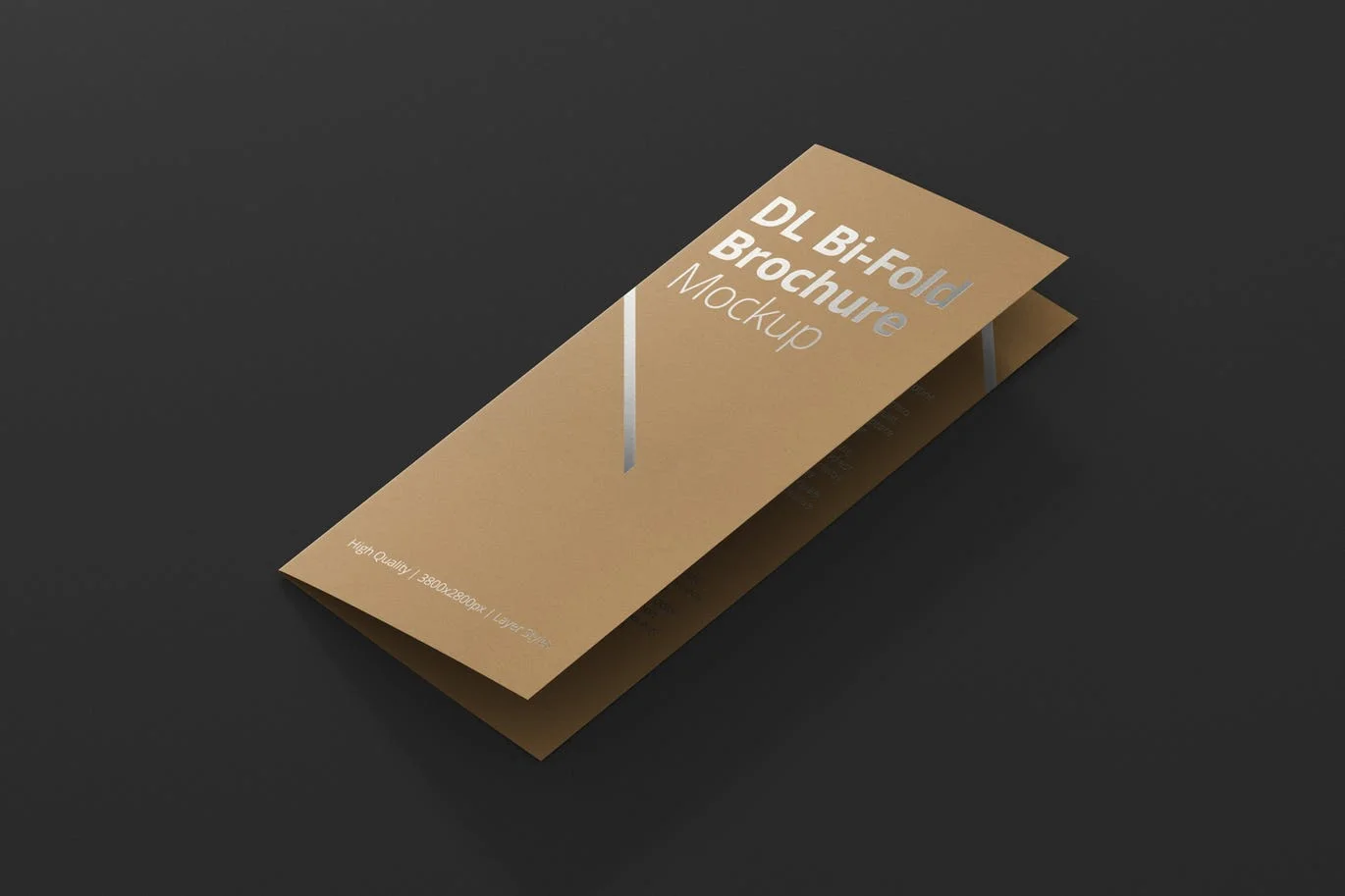 dl-bi-fold-brochure-mock-up-VB38NN