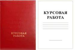 СУЩНОСТЬ, принципы и содержание БУХГАЛТЕРСКОГО УЧЕТА