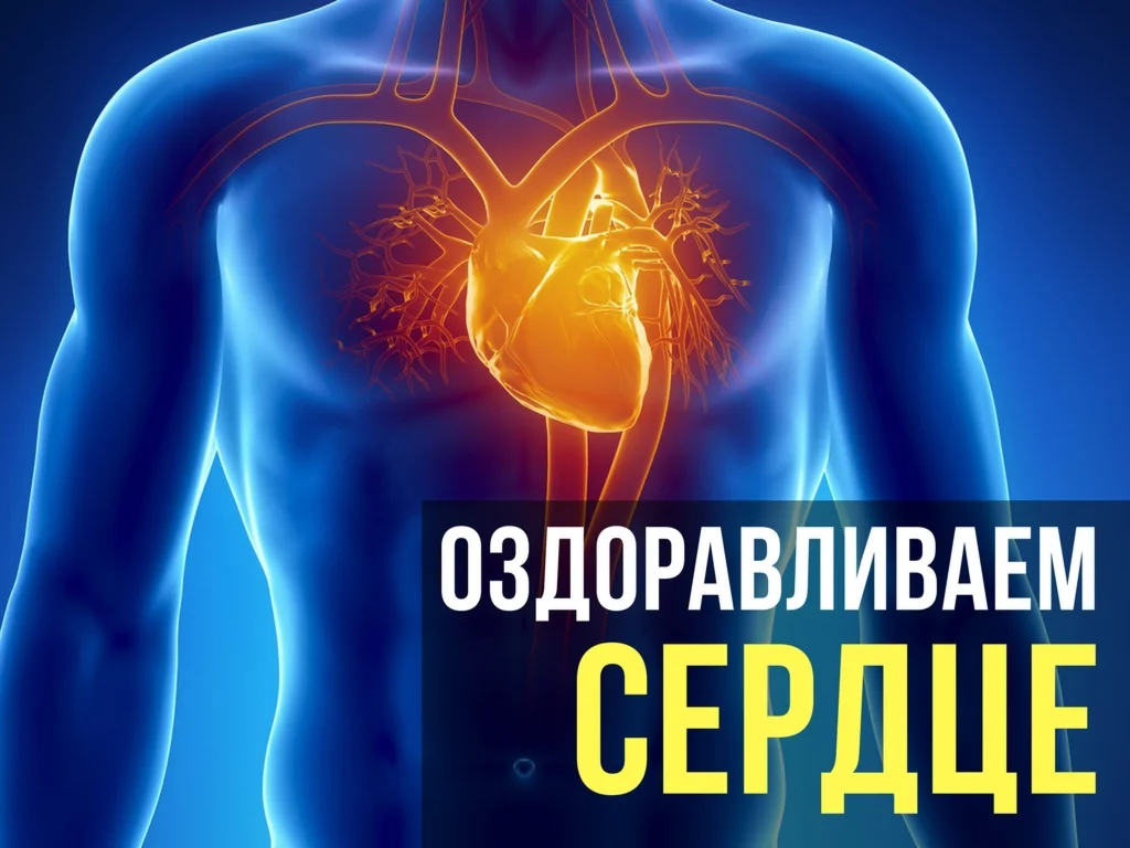 Оздоровление Сердца и Тонкого кишечника