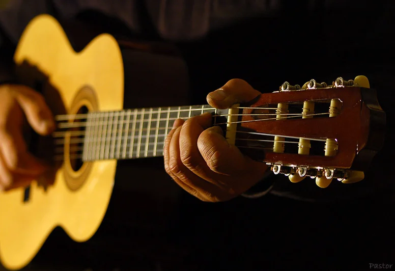 Акустический альбом Дениса Пошлого - 11 песен в MP3