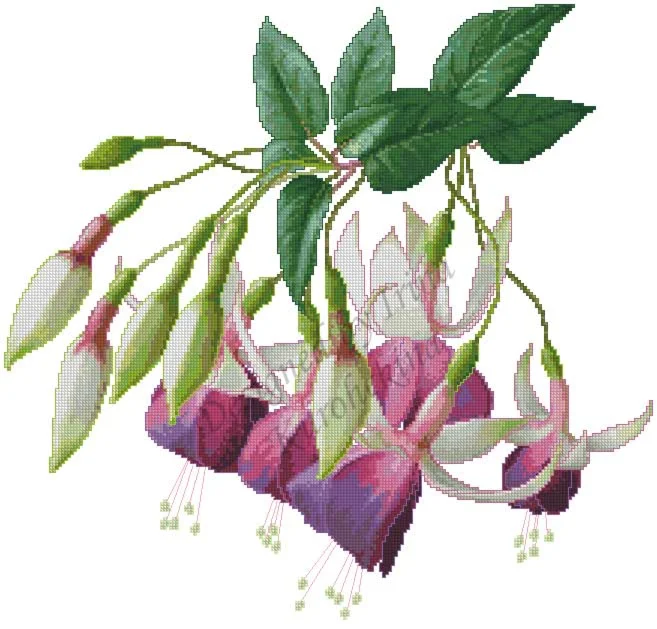 Схема для вышивания крестом  Фуксия Auntie Jinks