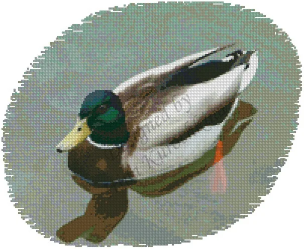 Схема для вышивания крестом Селезень