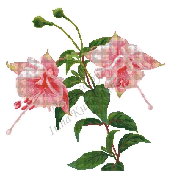 Схема для вышивания крестом Фуксия Perky Pink