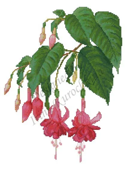 Схема для вышивания крестом Фуксия Waldis Rubin