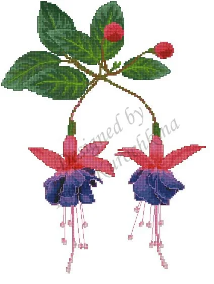 Схема для вышивания крестом Фуксия Winston Churchill