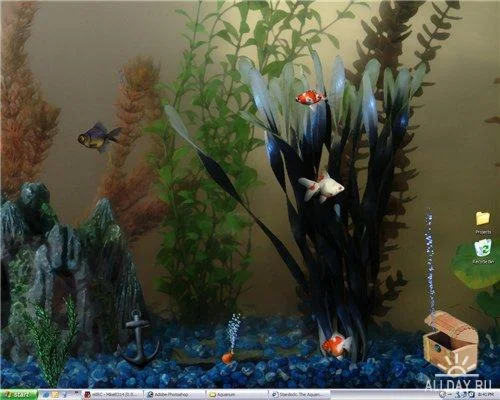 ЖИВОЙ АКВАРИУМ НА РАБОЧЕМ СТОЛЕ. NEW 2006