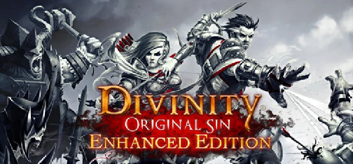 DIVINITY: ORIGINAL SIN ENHANCED EDITION (STEAM RU/CIS)