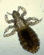 Методические рекомендации 