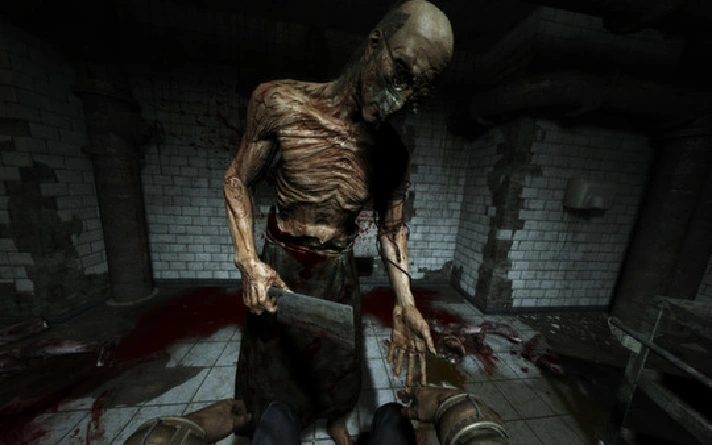 Outlast (Steam Key/Region Free)