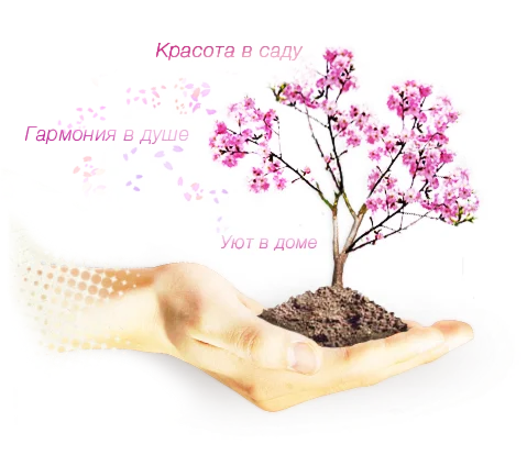 Садовый центр Сакура